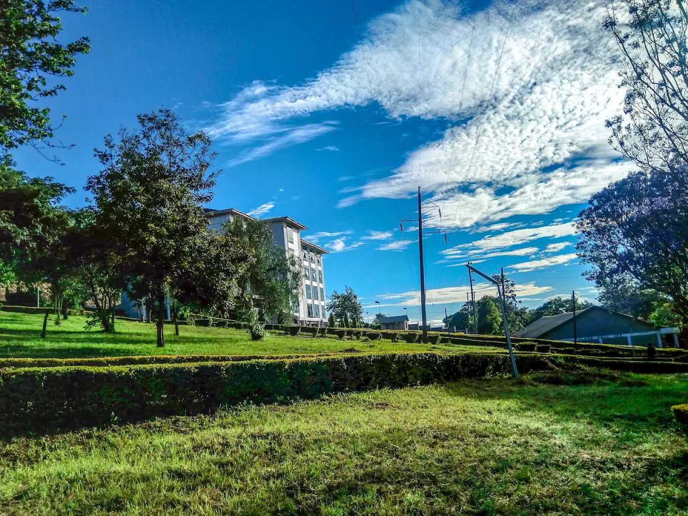 Institute of Accountancy Arusha