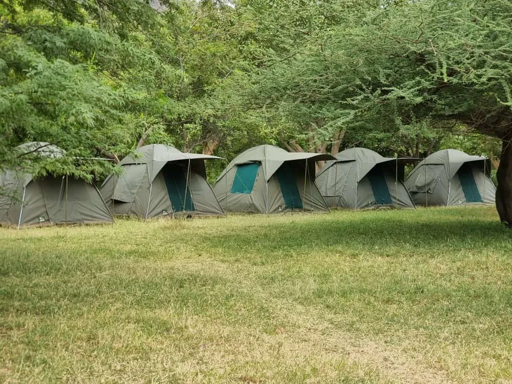 College of African Wildlife Management Mweka