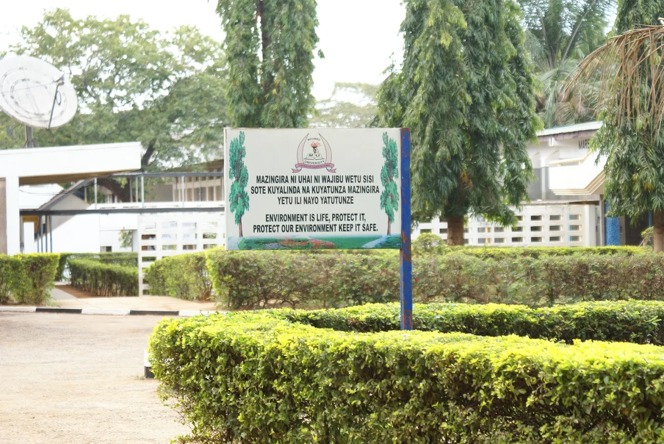 Mzumbe University