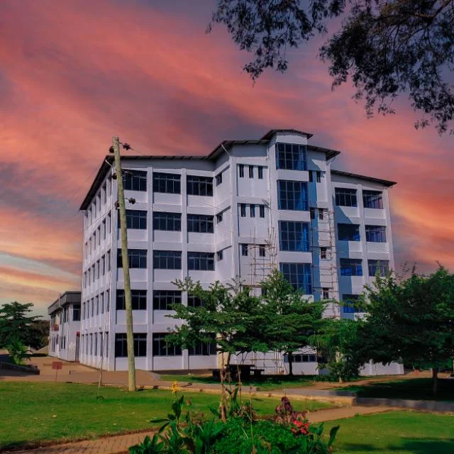 Institute of Accountancy Arusha