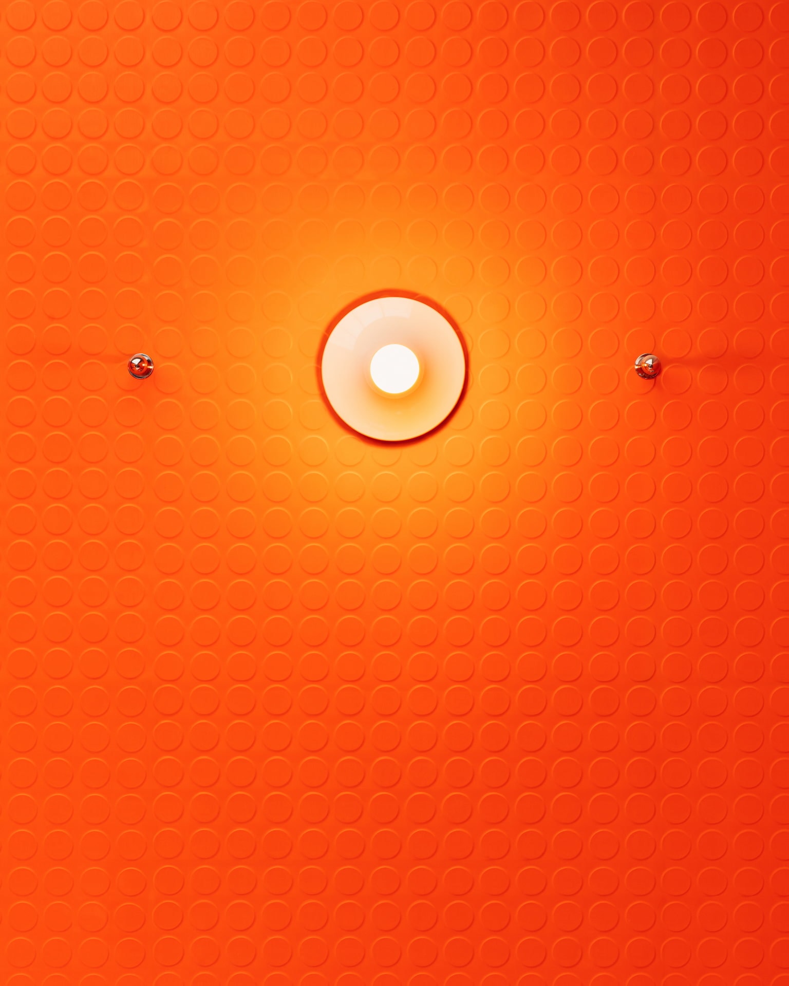 Puccias-02 thumbnail