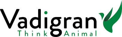 Logo 8