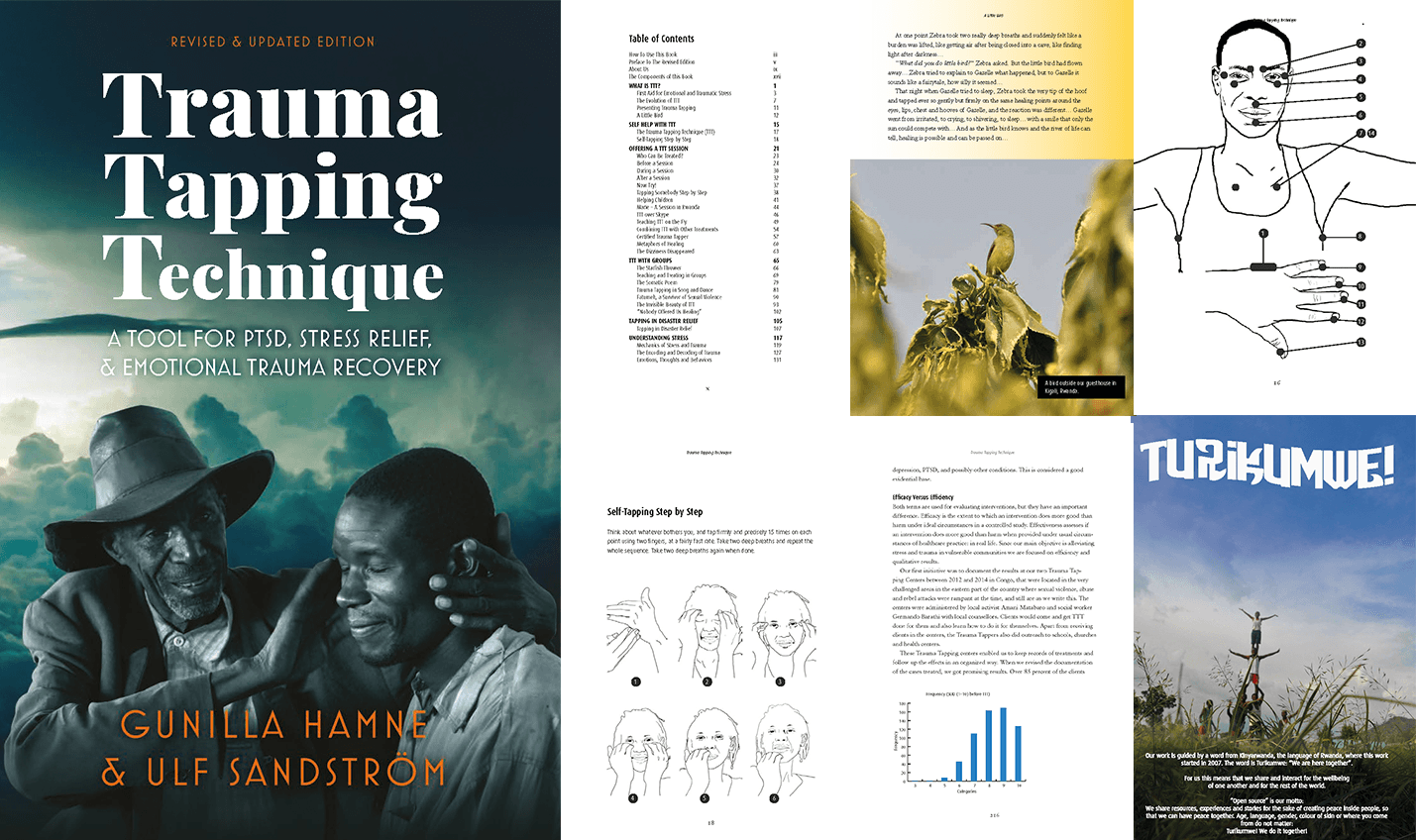TraumaTappingBookExample.png