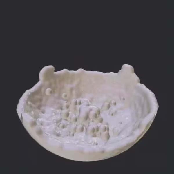 fuild simulation