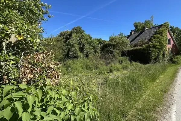 Als Oddevej 39