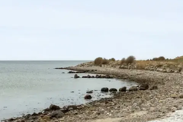 Rajgræsset 8