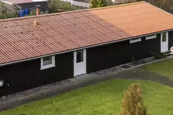 Mælkebøttevej 11