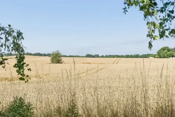 Harekærgårdsvej 22