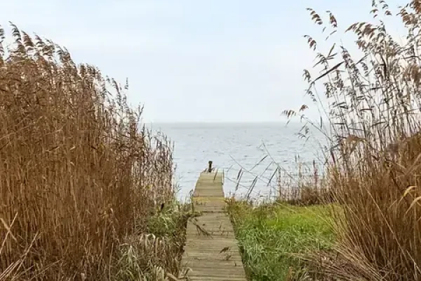 Strandholm 30