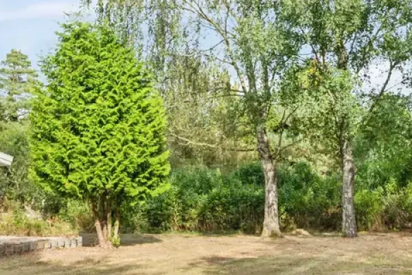 Lyngbakkevej 32