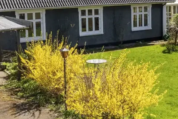 Tårsvej 28