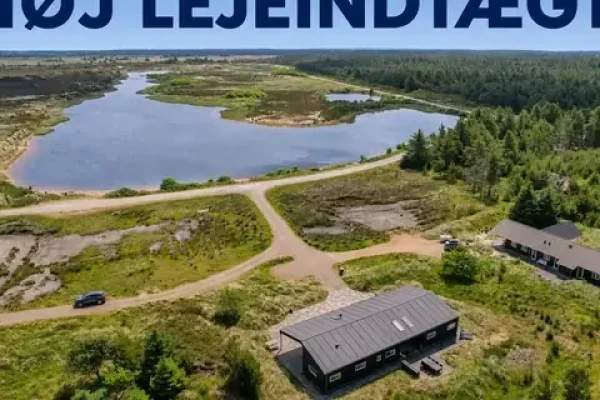 Lyngheden 3