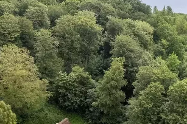 Nebbegårdsvej 139, 7000 Fredericia