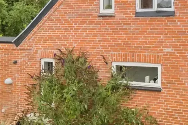 Smedetoften 1