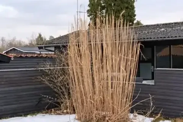 Kirstenvej 2