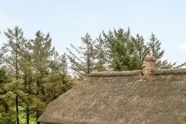 Bunti 12