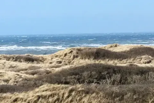 Ruthsvej 5