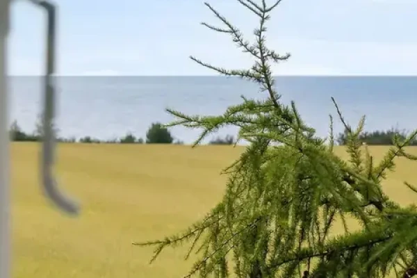 Kraneledvej 5