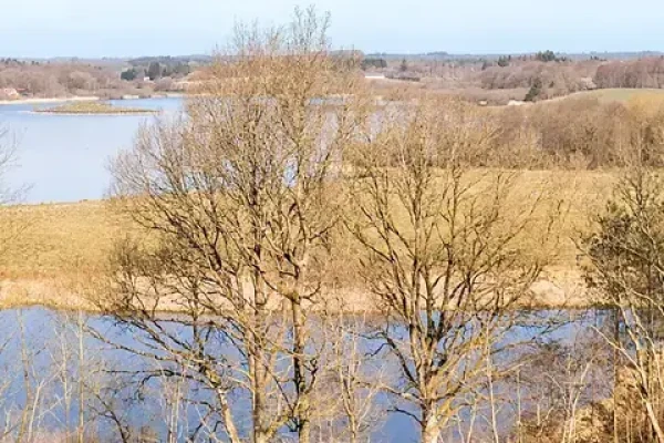Søvej 23