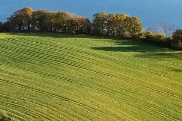 Sønderballevej 31
