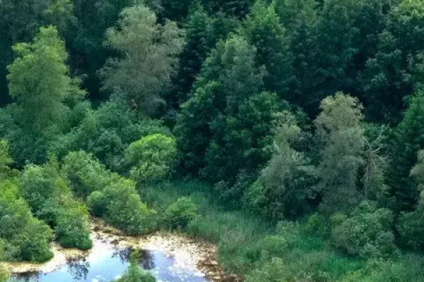 Holbækvej 43