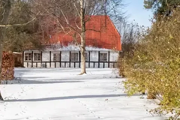 Skovvangsvej 45