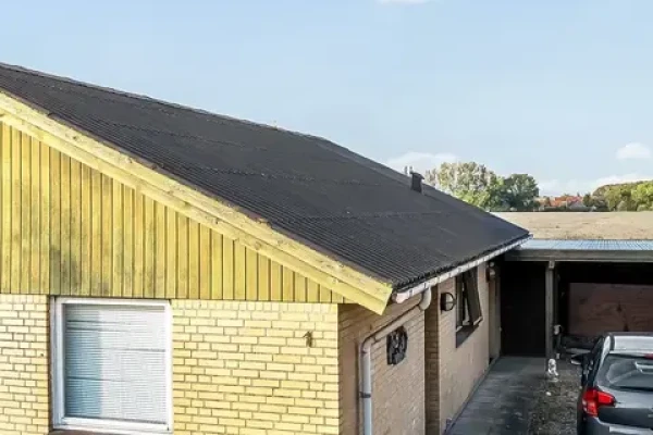Elmevang 1