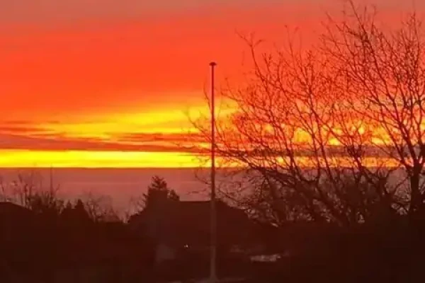 Kløvervænget 5