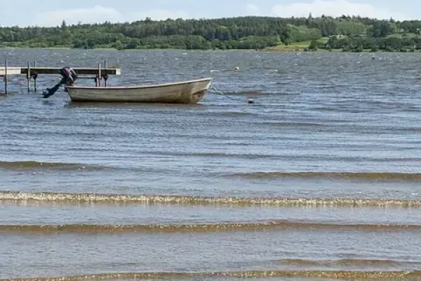Fjordvej 4