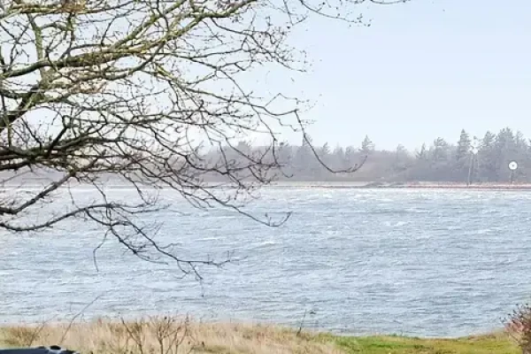 Bøhlvej 11