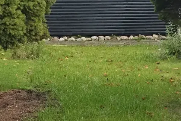Lupinvænget 45