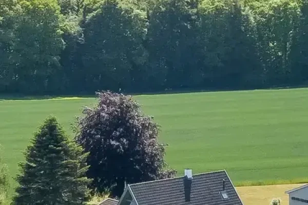 Strandhuse 8