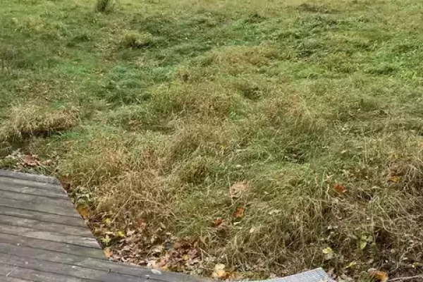 Strandvejen 161, 4600 Køge