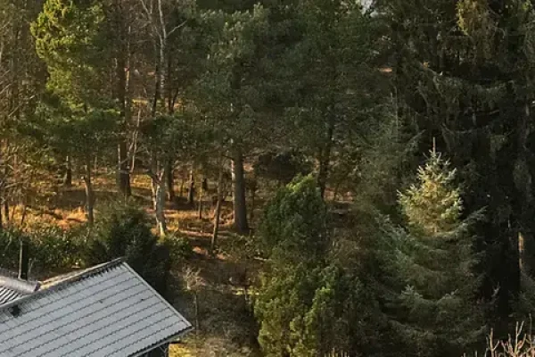 Greigavej 13
