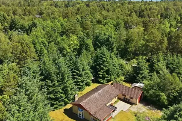 Skovbrynet 4