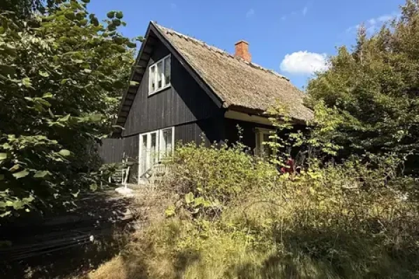 Rylevej 6