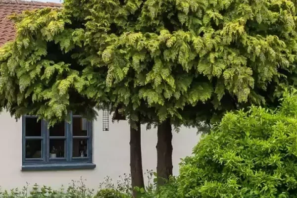 Langedvej 7, 4760 Vordingborg