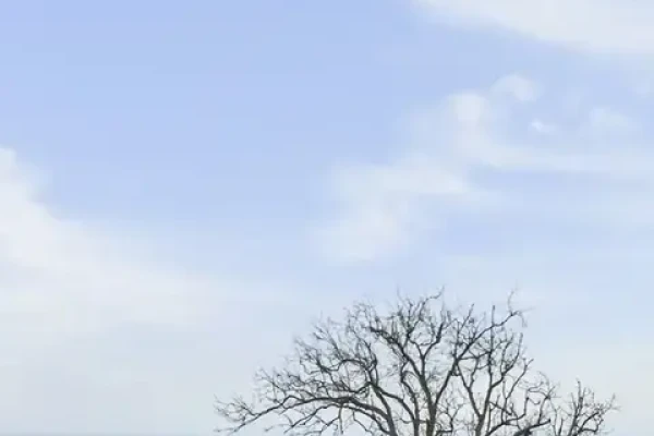 Klydevej 8