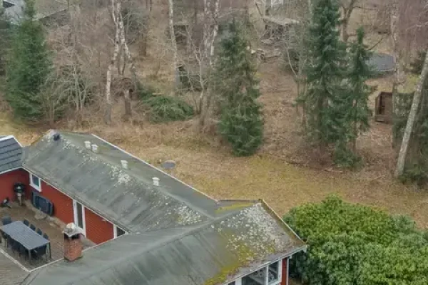Bjørnevej 12