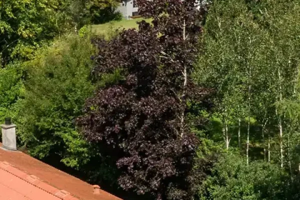 Klintestien 23, 4720 Præstø