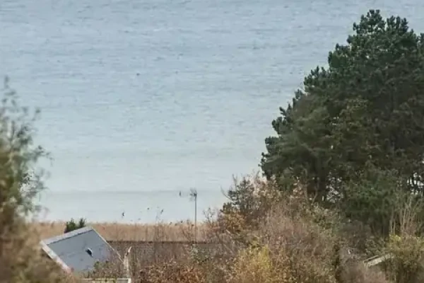 Vikingebanke 12