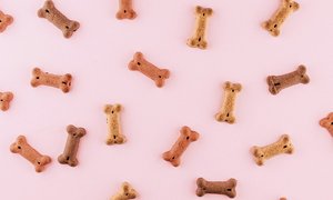 Chewys nye influencer-butikker viser vejen: Sådan kan danske brands forvandle følgere til kunder