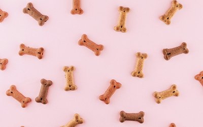 Chewys nye influencer-butikker viser vejen: Sådan kan danske brands forvandle følgere til kunder