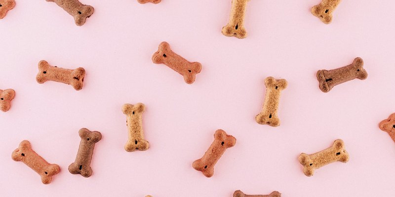 Chewys nye influencer-butikker viser vejen: Sådan kan danske brands forvandle følgere til kunder