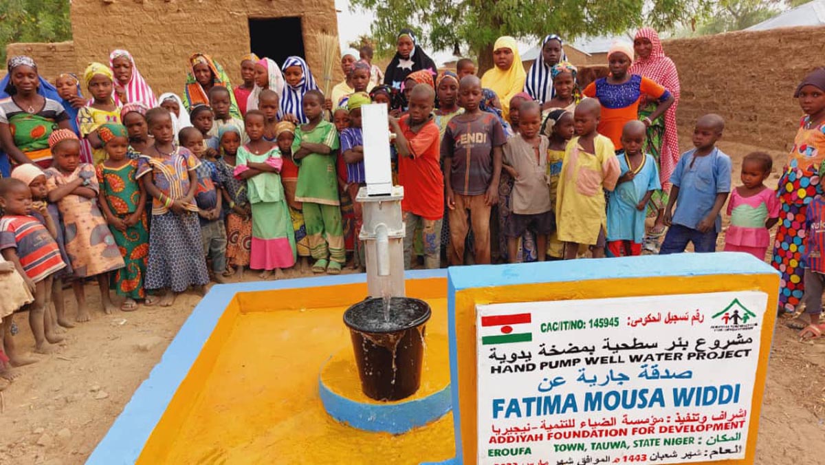 Surface Wells With Hand Pump