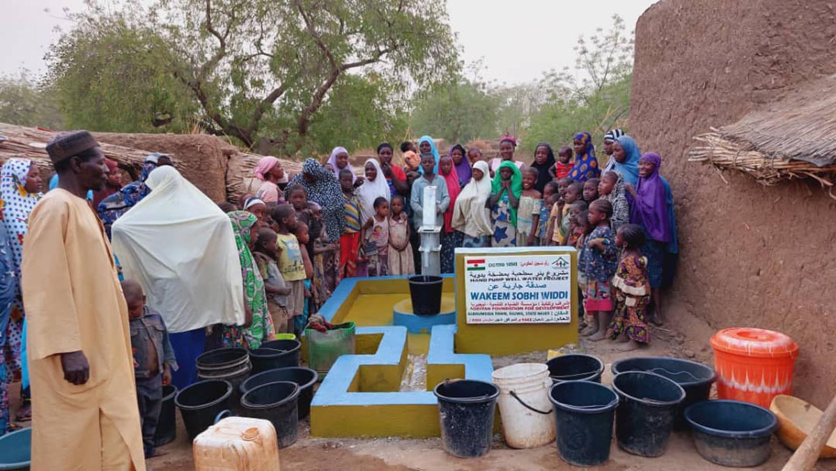 Surface Wells With Hand Pump