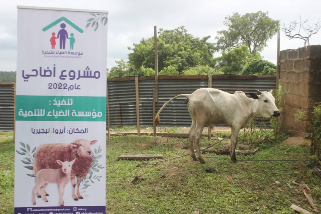 Distribution Of Meat At Eid-el-Kabir - 2023
