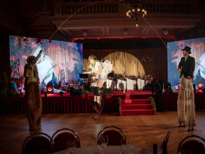 Chůdařská vystoupení - photo 1