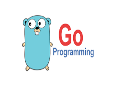 迈向 Go 2 的下一步