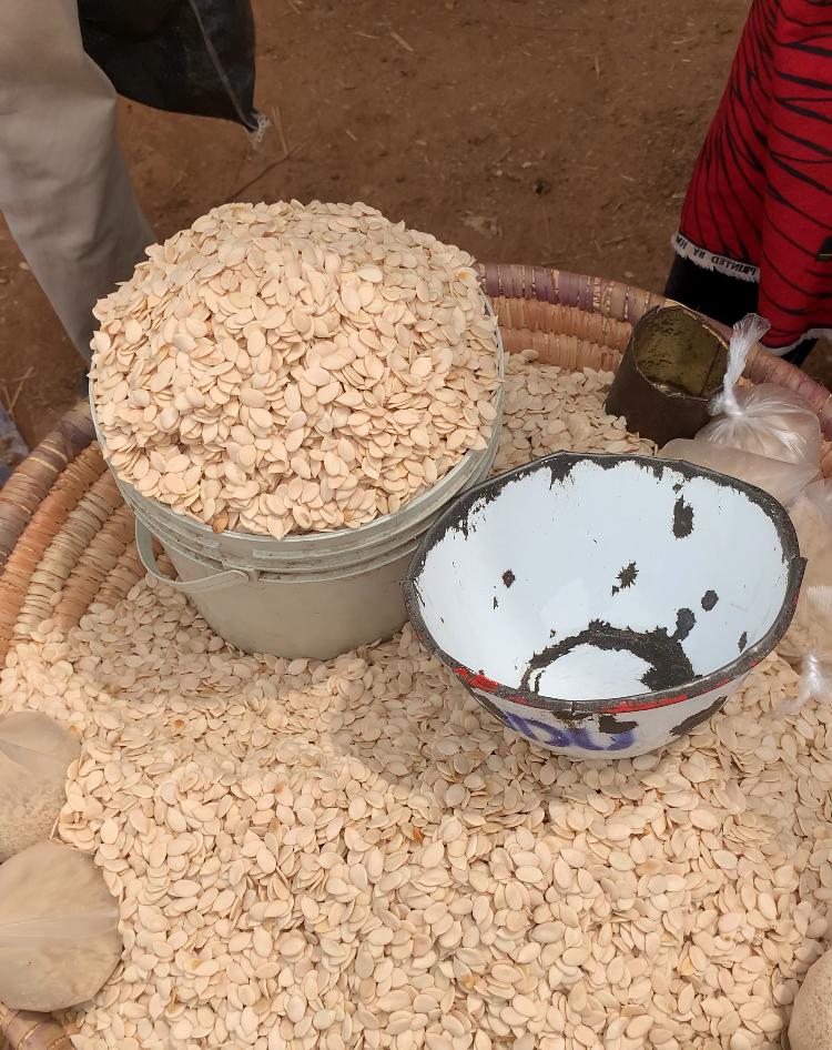 Egusi
